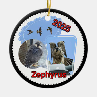 2025 Keramische Cirkel Ornament Zephyrus