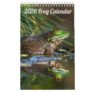 2025 Kikker Een Pagina Wandkalender Kalender