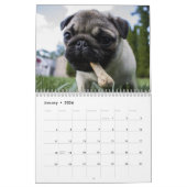 2025 Kostbare Pugs Kalender (Jan 2026)