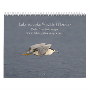 2025 Lake Apoka Wildlife in Nederland Kalender
