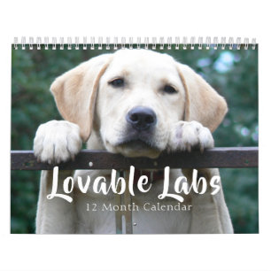 2025 Lovable Labrador Retriever Dog Kalender