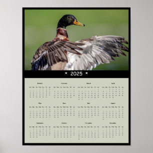 2025 Mallard Duck Wandkalender Poster