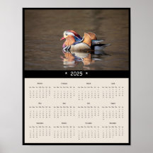 2025 Mandarijn Duck Wall Calendar Poster