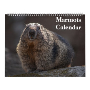 2025 Marmots Kalender