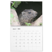 2025 Marmots Kalender (Mar 2026)