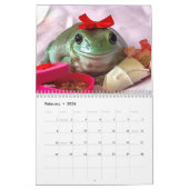 2025 Moeder van Kikkers Reddingskalender Kalender (Feb 2026)