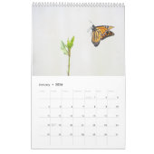 2025 Monarch Butterflies One Page Kalender (Jan 2026)