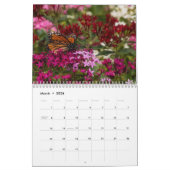 2025 Monarch vlinders kalender (Mar 2026)