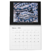 2025 Morelia Python Radio Kalender (Feb 2026)