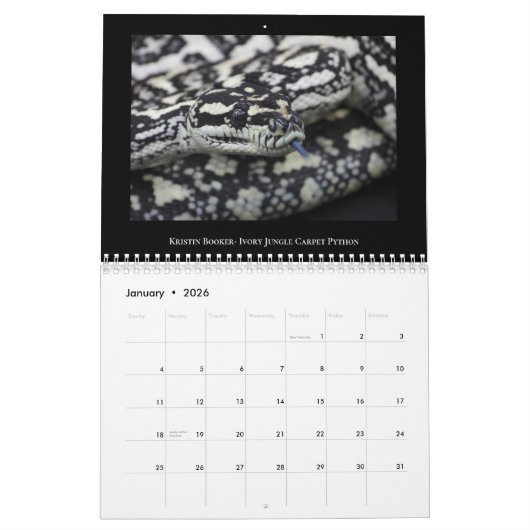 2025 Morelia Python Radio Kalender (Jan 2026)
