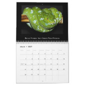 2025 Morelia Python Radio Kalender (Mar 2027)