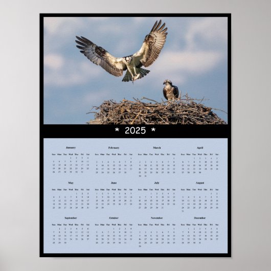 2025 Osprey Wandkalender Poster (Voorkant)
