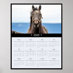2025 Paard Muurkalender Poster
