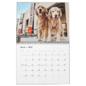2025 ParkerPup Calendrier ...avec Gill & Walter (Mar 2027)
