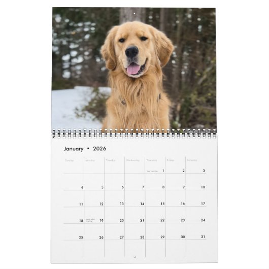 2025 ParkerPup Calendrier ...avec Gill & Walter (Jan 2026)