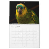 2025 Parrot Kalender (Feb 2027)