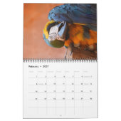 2025 Parrot Kalender (Feb 2027)