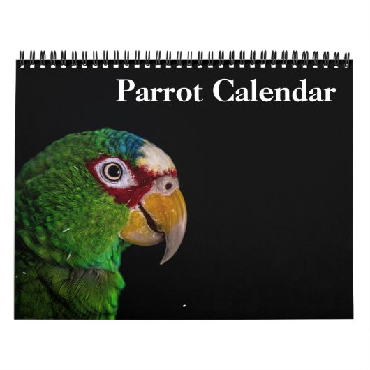 2025 Parrot Kalender (Hoes)