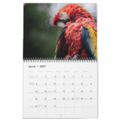 2025 Parrot Kalender (Mar 2027)