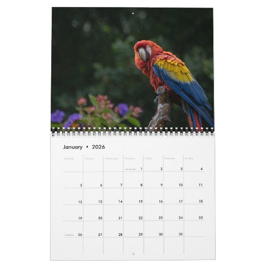 2025 Parrot Kalender (Jan 2026)