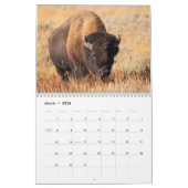 2025 Photo Faune Deux Page Calendrier Moyen (Mar 2026)