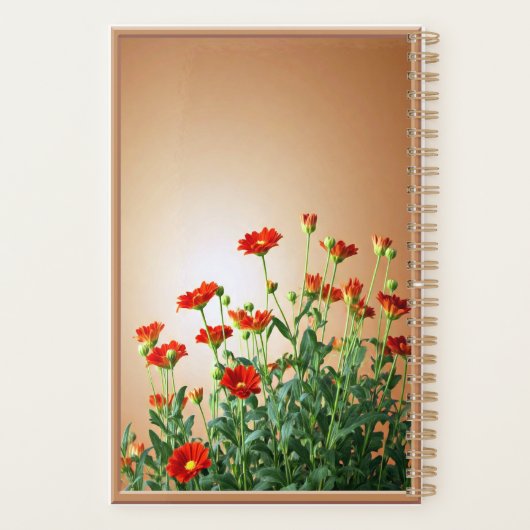 2025 PLANNER (Achterkant)