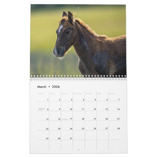 2025 Ponies Chincoteague Calendrier 18 mois (Mar 2026)