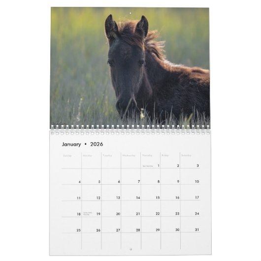 2025 Ponies Chincoteague Calendrier 18 mois (Jan 2026)