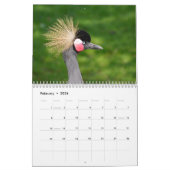 2025 prachtige vogels kalender (Feb 2026)