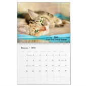 2025 Precious Paws Kalender (Feb 2026)