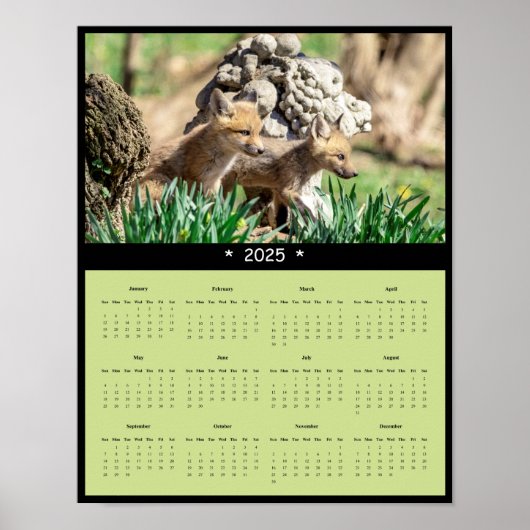 2025 Red Fox Kits Muurkalender Poster (Voorkant)