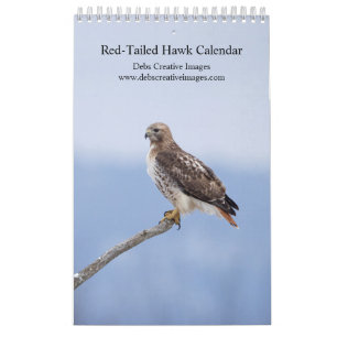 2025 Red-Tailed Hawk Kalender