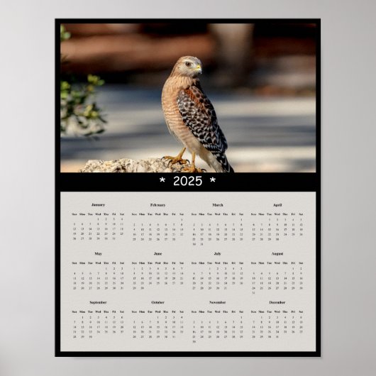 2025 Rood Schouderblad Hawk Wandkalender Poster (Voorkant)