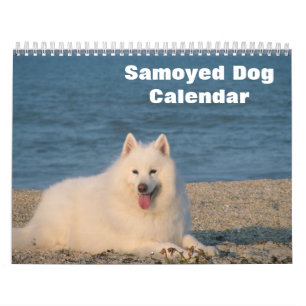 2025 Samojeed Hond Kalender