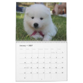 2025 Samojeed Hond Kalender (Jan 2027)