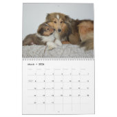 2025 Shetland Sheepdog Kalender (Mar 2026)