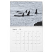 2025 Southern Resident Killer Whale Kalender (Feb 2026)