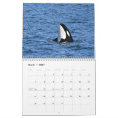 2025 Southern Resident Killer Whale Kalender (Mar 2027)