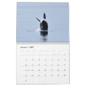 2025 Southern Resident Killer Whale Kalender (Jan 2027)