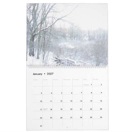 2025 Toutes les saisons Paysage et Calendrier Flor (Jan 2027)