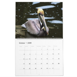 2025 Tropische kalender, Strandvogels in het parad Kalender