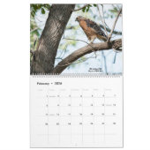 2025 Vogels voor Raptors Kalender (Feb 2026)