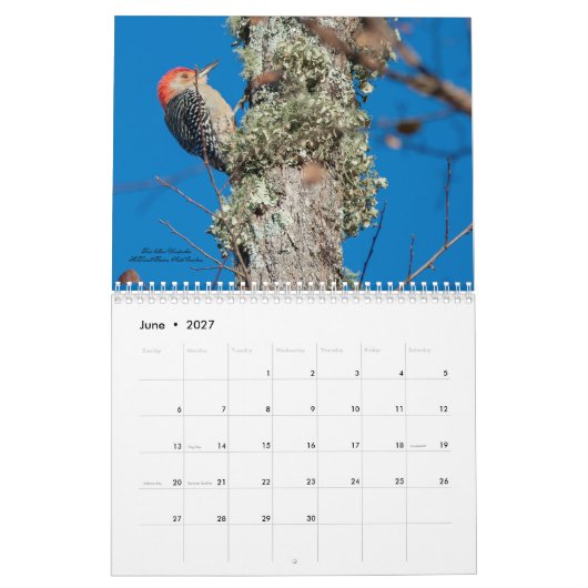 2025 Vogels voor spechten Kalender (Jun 2027)