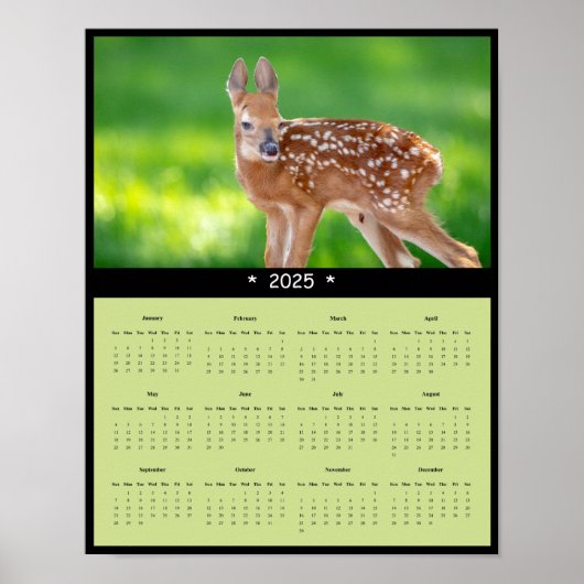 2025 White Tailed Deer Fawn Wandkalender Poster (Voorkant)