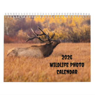 2025 Wildlife Foto Twee Pagina Medium Kalender