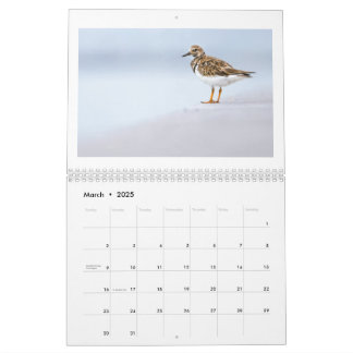 2025 Wildlife Fotokalender Kalender
