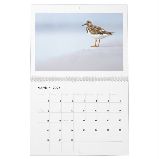 2025 Wildlife Fotokalender Kalender (Mar 2026)
