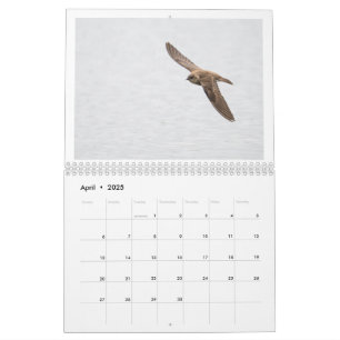 2025 Wildlife Fotokalender Kalender