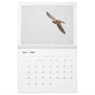 2025 Wildlife Fotokalender Kalender