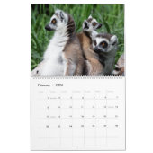 2025 Zoete ringstaartmaki's Kalender (Feb 2026)